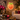 Peachy | Neon Sign