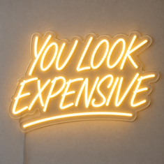 You Look Expensive | Neon Sign