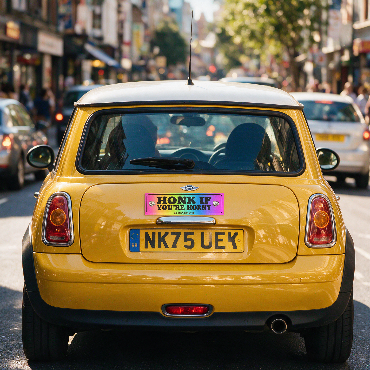 Queer Quotes: Honk if You're Horny | Car Magnets