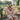 Dressing Gown | NQ Universe Pattern: Proud Portraits