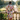 Dressing Gown | NQ Universe Pattern: Proud Portraits